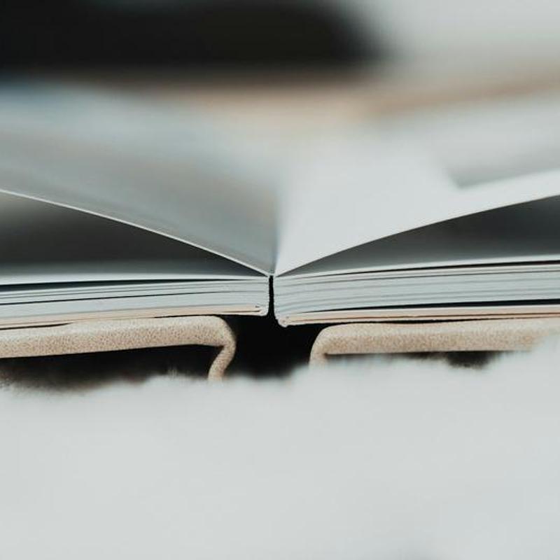 Sheets on the line, a small book, photograph 2