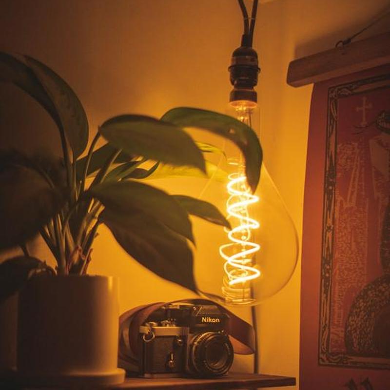 Houseplants, art print