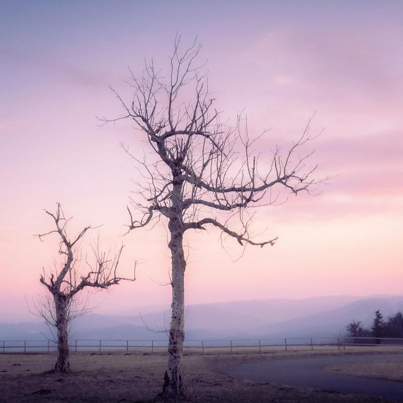 Postcards, fog, photograph 2