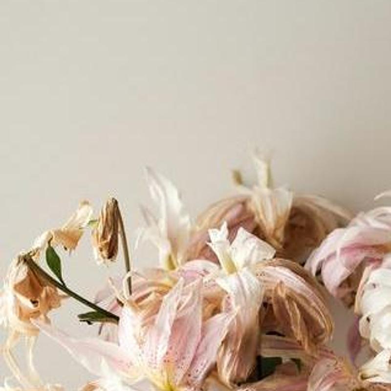 Oatmeal serving bowl, photograph 5