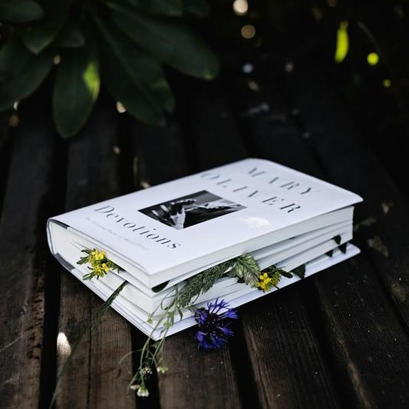 Borrowed rooms, a chapbook