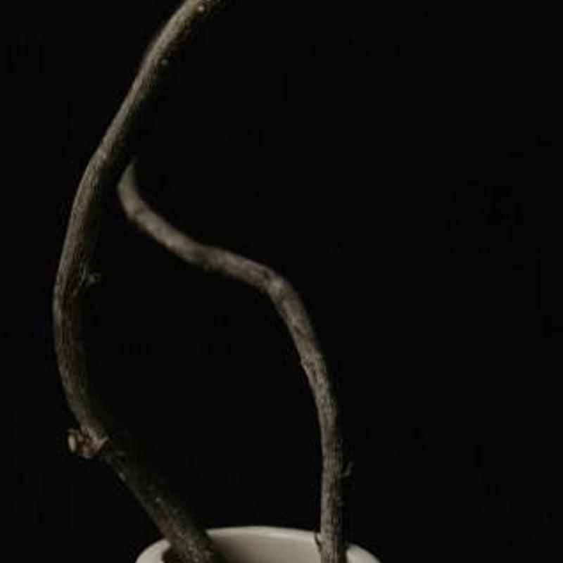 White slip serving bowl, photograph 3
