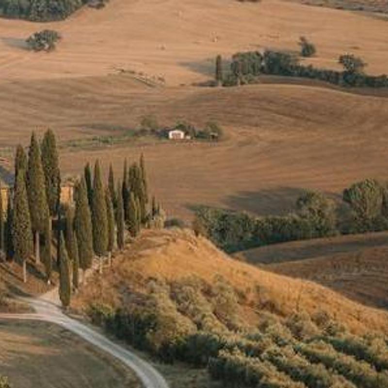 The cliff path, photograph 3
