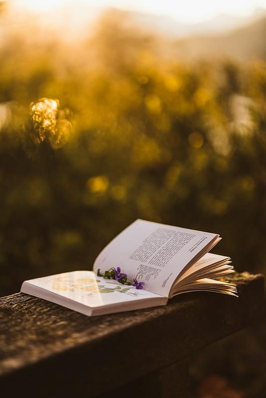 Letters to the ferry, poems