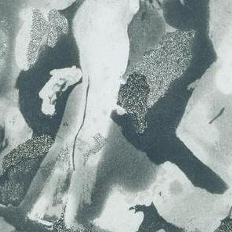 Snails, drypoint, photograph 3