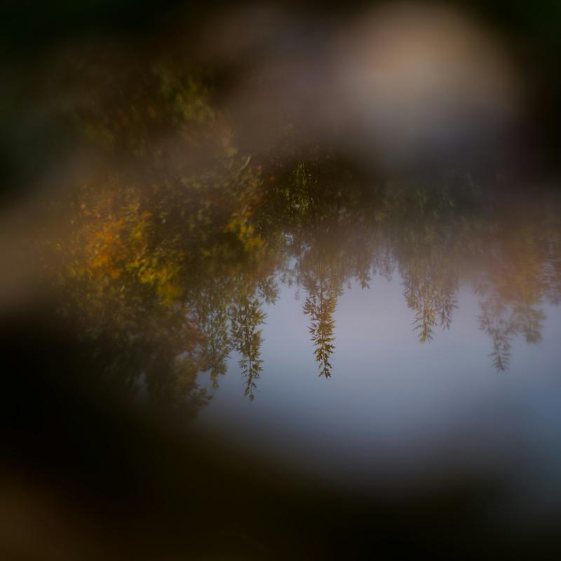 Field recordings, the marsh in winter