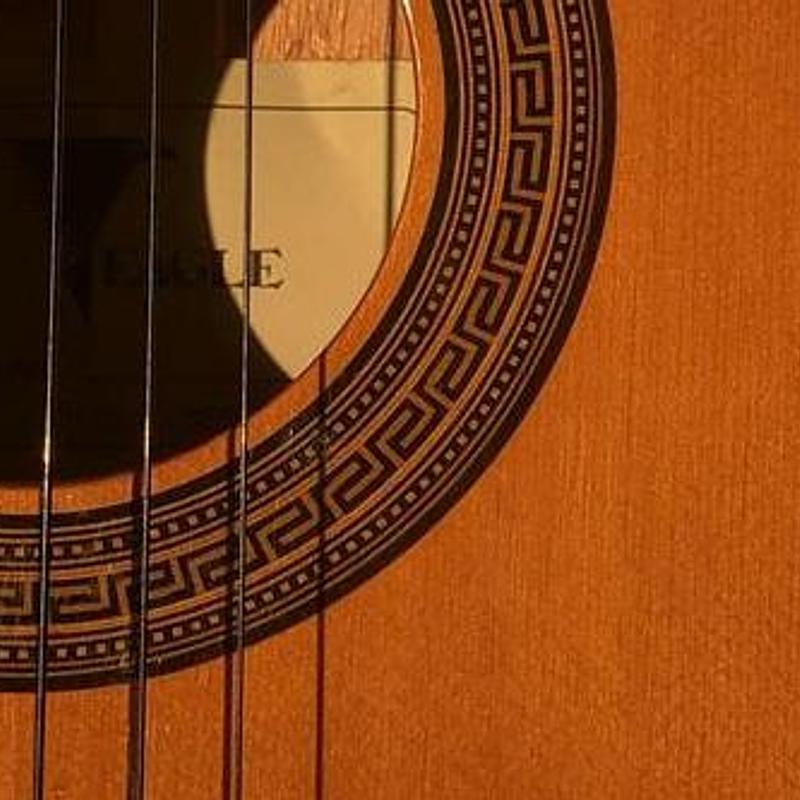 My old lap steel, photograph 6
