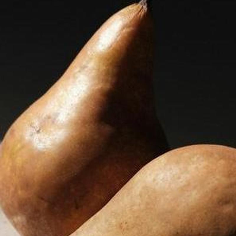 Left behind in the studio, still life, photograph 3