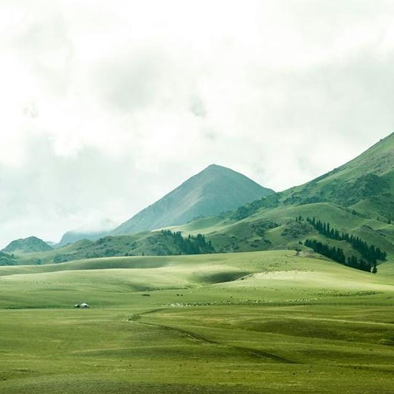 Printing landscapes at home
