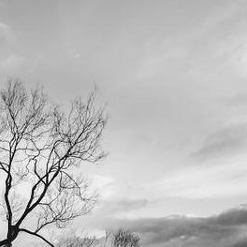 Last shift at the yard, photograph 3